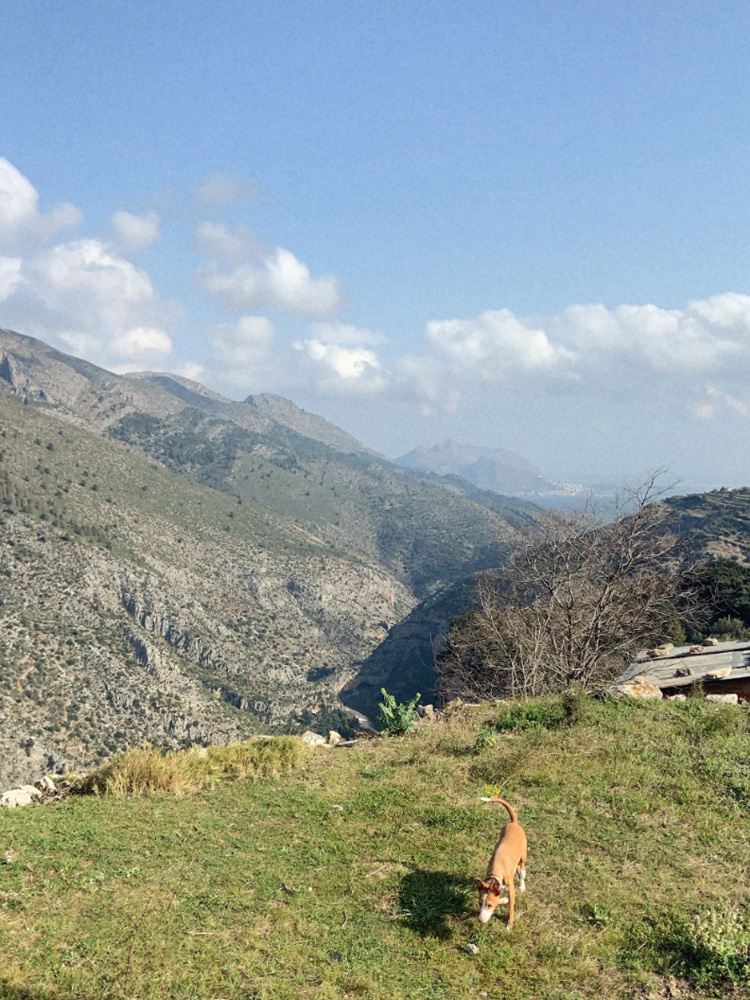 vall de laguar
