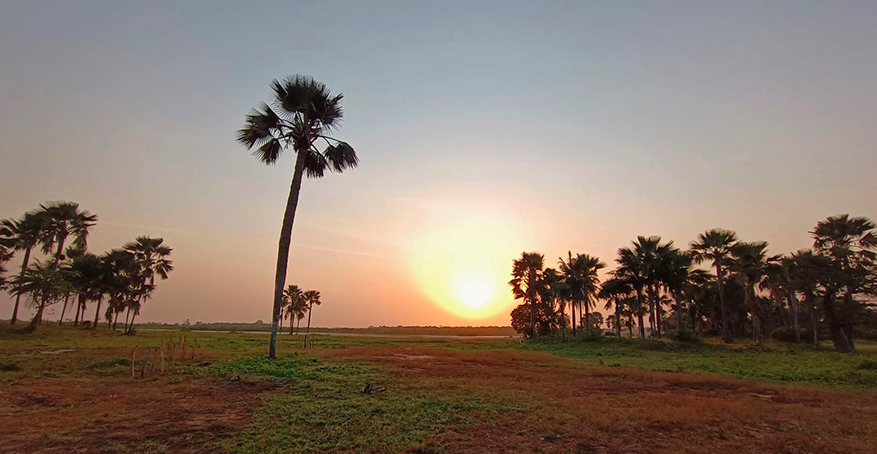 Paisaje de Casamance