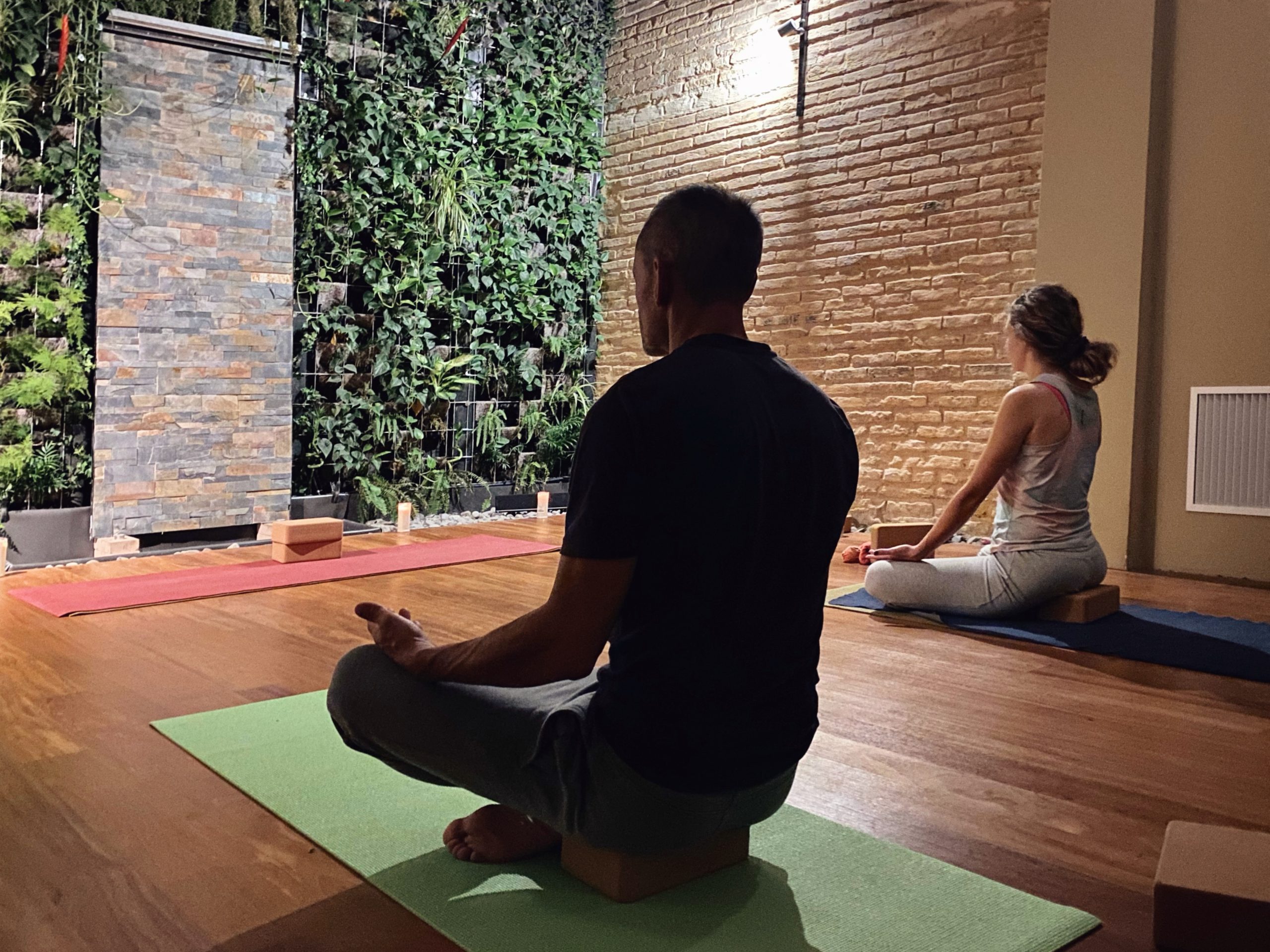 Fundamentos del yoga