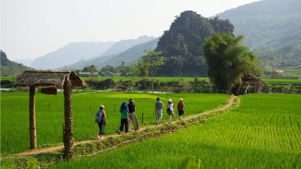 Viaje de Yoga en Vietnam